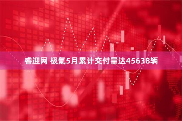 睿迎网 极氪5月累计交付量达45638辆
