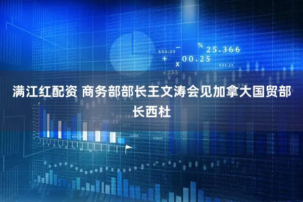 满江红配资 商务部部长王文涛会见加拿大国贸部长西杜