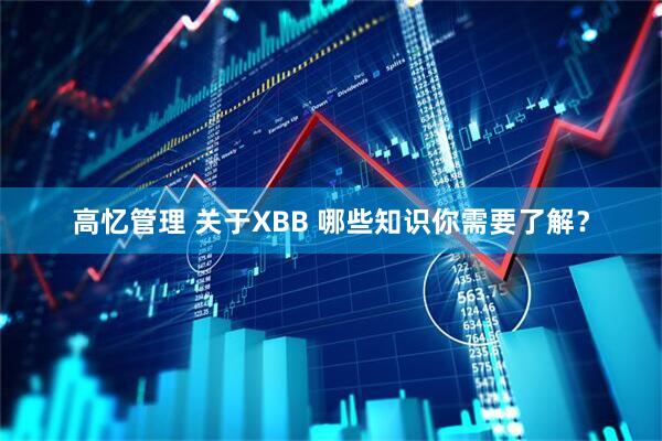 高忆管理 关于XBB 哪些知识你需要了解？
