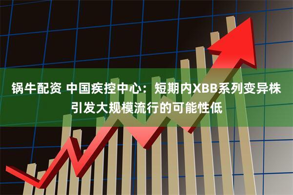 锅牛配资 中国疾控中心：短期内XBB系列变异株引发大规模流行的可能性低