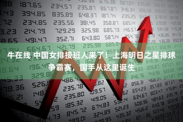 牛在线 中国女排接班人来了！上海明日之星排球争霸赛，国手从这里诞生